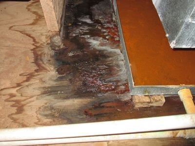 About water damage restoration service - emergency flood repair experts in Raleigh